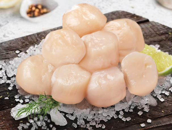 M日本生食級干貝 (1000g) 